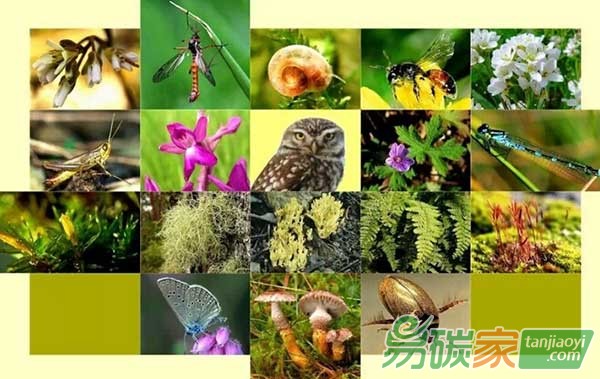 中國生態(tài)系統(tǒng)和生物多樣性經濟學(TEEB)行動方案國際研討會