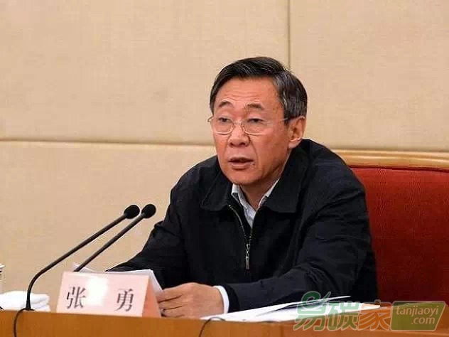 國(guó)家發(fā)展改革委黨組成員、副主任張勇
