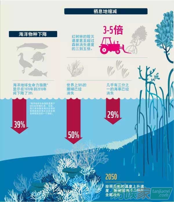 “全球海洋經(jīng)濟在走下坡路”