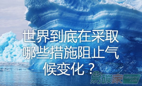 世界到底在采取哪些措施阻止氣候變化？