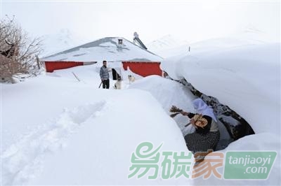 超冷天氣或因全球變暖英國氣象部門稱2016年會更熱