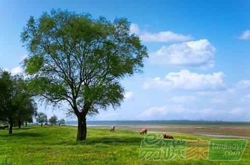 林業(yè)碳匯項目的儲備與開發(fā)“意義有多大”？
