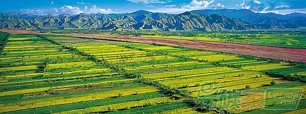 農(nóng)業(yè)可在遏制溫室氣體排放方面發(fā)揮重要作用