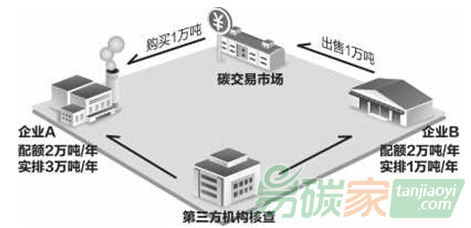 由點(diǎn)到面構(gòu)建市場體系