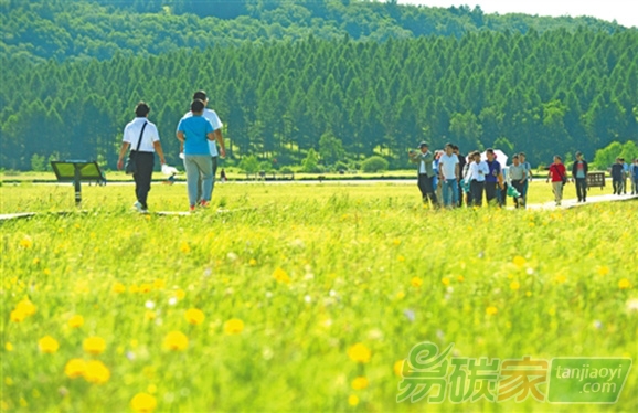 塞罕壩森林碳匯交易可運(yùn)作包裝45萬(wàn)余畝上市碳交易總額可達(dá)3000多萬(wàn)元