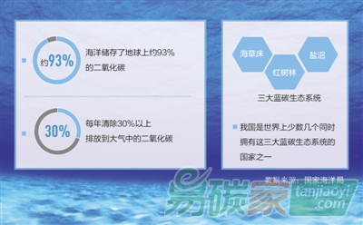 你知道“藍(lán)碳”是什么嗎？有多厲害？