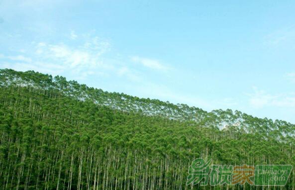 完善交易機(jī)制