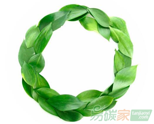 碳金融對(duì)可再生能源技術(shù)創(chuàng)新的異質(zhì)性影響——基于歐盟碳市場的實(shí)證研究
